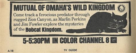 The Tv Guide Historian Wild Kingdom Ad