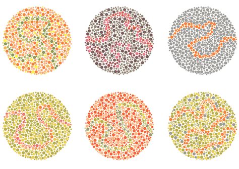 Color Blindness The Most Common Uncommon Eye Condition — Downtown