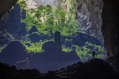 underground forest hang son doong vietnam the world s biggest cave has a large forest