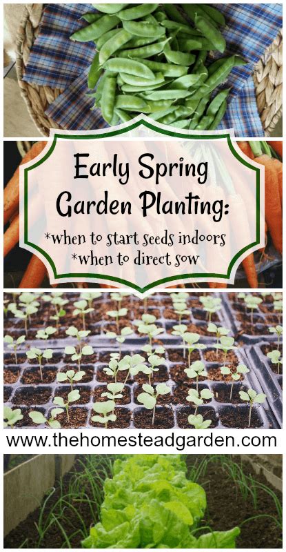 Early Spring Garden Planning This Information Includes Details On What
