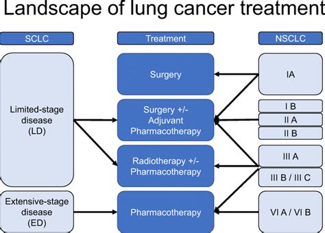 Landscape Of Lung Cancer Treatment Treatment Options For Lung Cancer Download Scientific