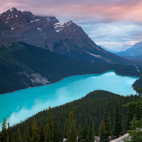 Here is the actual preview of … read more Peyto Lake 4k Wallpaper Engine | Download Wallpaper Engine Wallpapers FREE