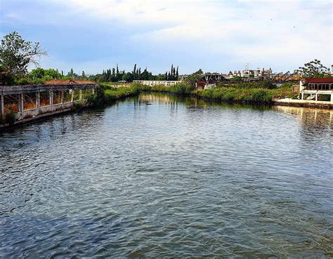 Nature In Homs Syria Photograph By Soaad Zain Aldeen Pixels