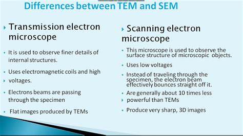 The Difference Between Scanning Electron Microscopes