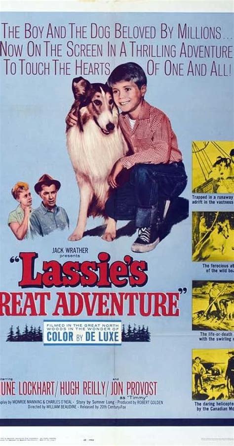 Lassies Great Adventure 1963 Technical Specifications Imdb