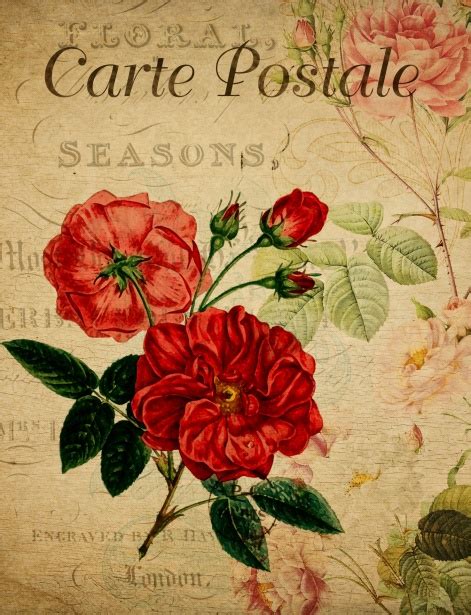 Vintage Postcard Roses Free Stock Photo Public Domain Pictures