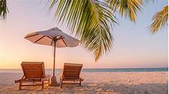 Vacation Vibes Tropical Smoothies Hours For A Holiday Escape