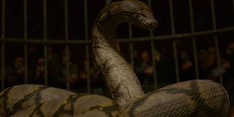 10 Facts About Nagini That Most Fans Dont Know Wechoiceblogger