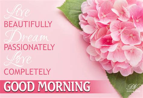 Live Beautifully Dream Passionately Love Completely Good Morning