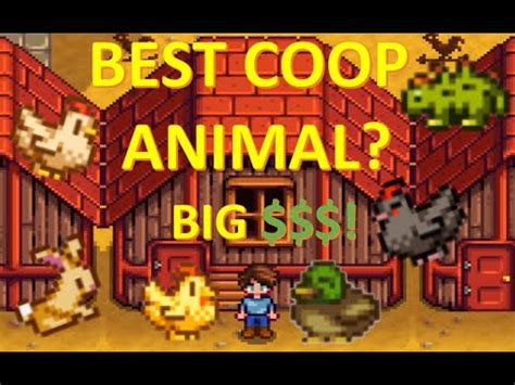Best Coop Animals Stardew Valley | Stardew Valley Money Guide 