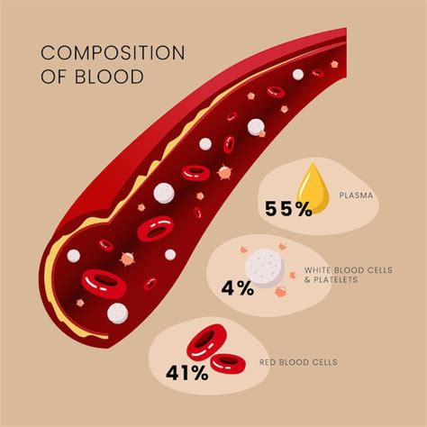 Free Vector Blood Infographic Concept In Flat Design
