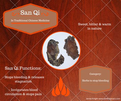 San Qi Chinese Herbs Chinese Medicine Chinese Herbal Medicine