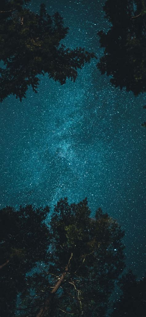 Starry Night Iphone 12 Wallpapers Free Download
