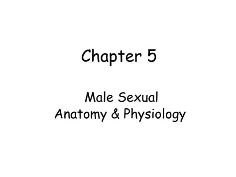 Ppt Chapter 5 Male Sexual Anatomy And Physiology Powerpoint