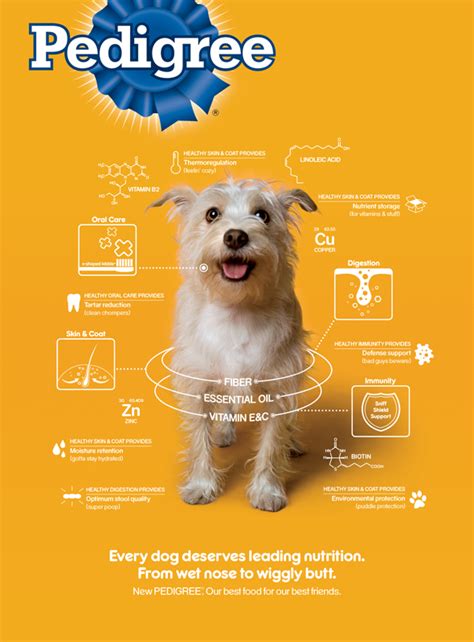 Pedigree Wiggly Butt On Behance Pet Branding Graphic Design Ads