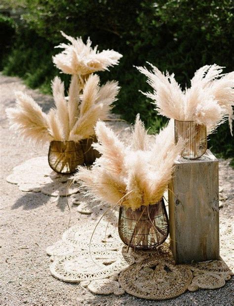 Pampas grass makes for quite the ideal decorative floral and a fairly versatile one at that. Dried Pampas Grass - 20 Stems in 2020 (With images ...