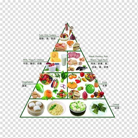 Healthy Food Pyramid Lokianywhere