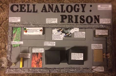 A analogy for a cell wall is the cell wall is the front part of a plant and animal cell. Cell Analogy: PRISON | Cell analogy, Cells project ...