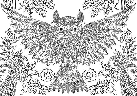10 Difficult Owl Coloring Page For Adults