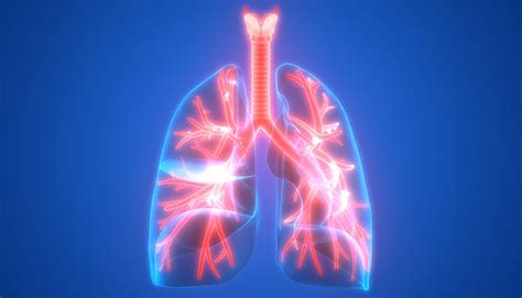 Watch the video explanation about how to spot lung cancer early | cancer research uk online, article, story, explanation, suggestion, youtube. Five Things to Know About a Lung Cancer Screening | Moffitt