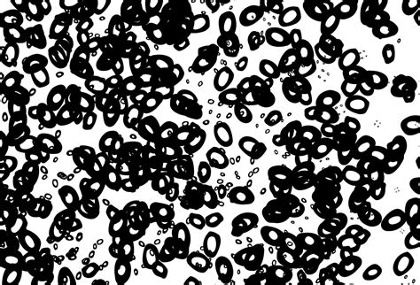 Black And White Vector Layout With Circle Shapes 12231475 Vector Art