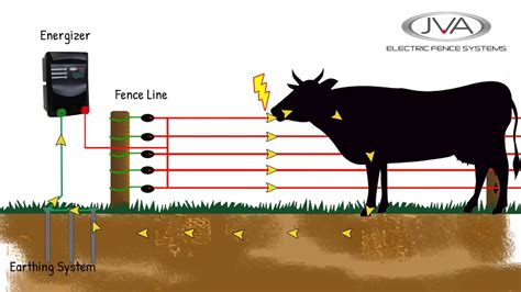 How Does An Electric Fence Work Youtube