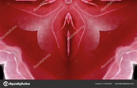 Sex Pussy Vulva Clitoris Vagina Orgasm Love Spring Season Bloom