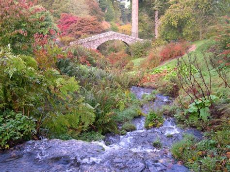 Dawyck Botanic Garden Discover Scottish Gardens
