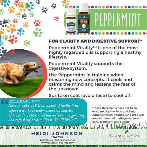 Are you searching for a homemade cat repellent solution? Common and Surprising Ways to Use Essential Oils for Dogs