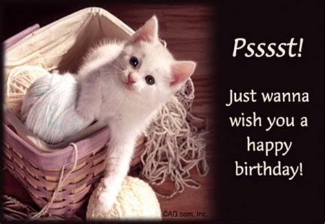 Happy Birthday With Cute Cat Nice Wishes