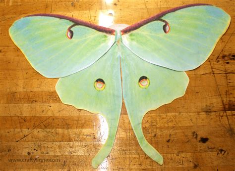 Butterfly Wings Tutorial Crafty Anne