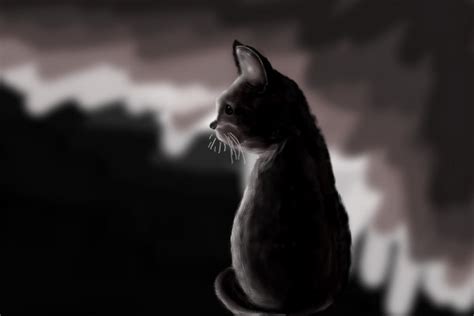 Dark Cat ← An Animals Speedpaint Drawing By Moonycat Queeky Draw