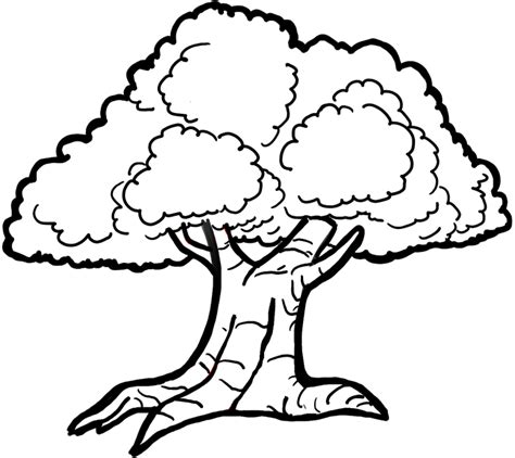 Tree Cartoon