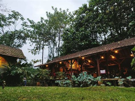 Ada Di Bogor 5 Kafe Di Tengah Kebun Ini Cocok Buat Ngadem