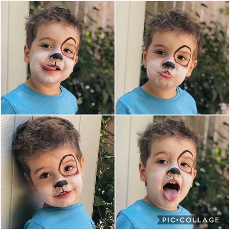 Pin By Morgan Craft On Halloween Dog Costumes For Kids Dog Makeup