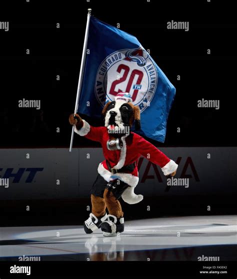 Denver Colorado Usa 21st Dec 2015 Avalanche Mascot Bernie Skates