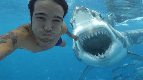 Video Zehn Hai Attacken Im Echten Leben Unglaublich Dumme Taucher Shark Pictures Shark