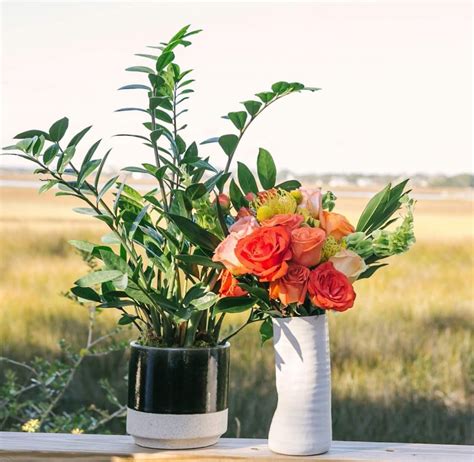 Your enchanted florist offers fresh flower delivery st paul. 12 Great Flower Delivery Services in St. Petersburg, FL ...