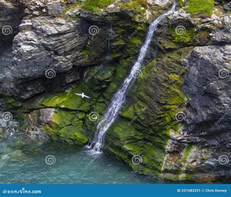 Waterfall At Tintagel Castle In Cornwall Uk Stock Image Image Of