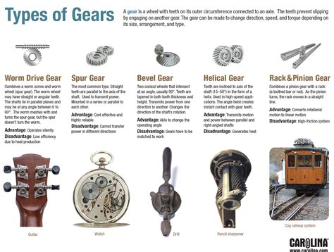 Infographic Types Of Gears