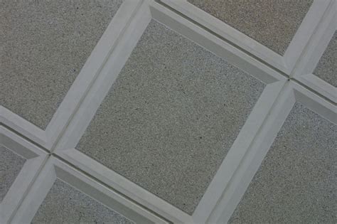 Spray painting ceiling tiles may affect their acoustical qualities. How to Choose Paint for Ceiling Tile and How to Apply ...