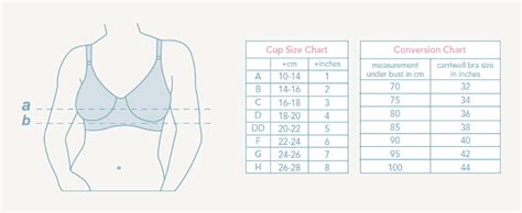 Bra Fit Guide Bra Size Chart Measure Your Bra Size Sports Bra