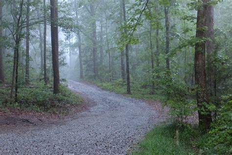 Its A Beautiful Morning Henry County Georgia Shot From M Flickr