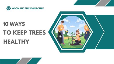 10 Ways To Keep Trees Healthy Woodland Tree Johns Creek Page 1 7
