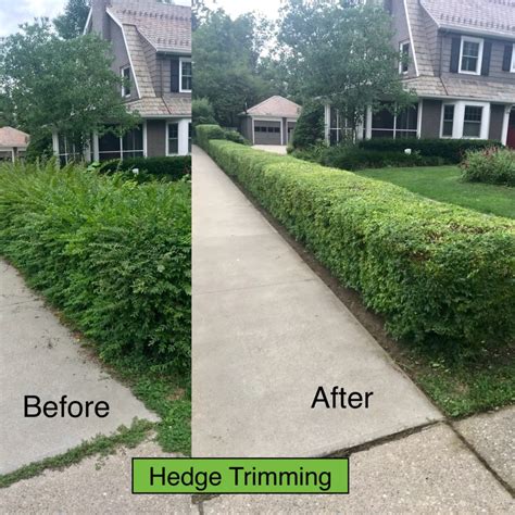Trimming And Pruning Cle Landscaping Co Llc