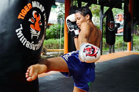 tiger muay thai the phuket powerhouse that became a global fitness destination asian mma