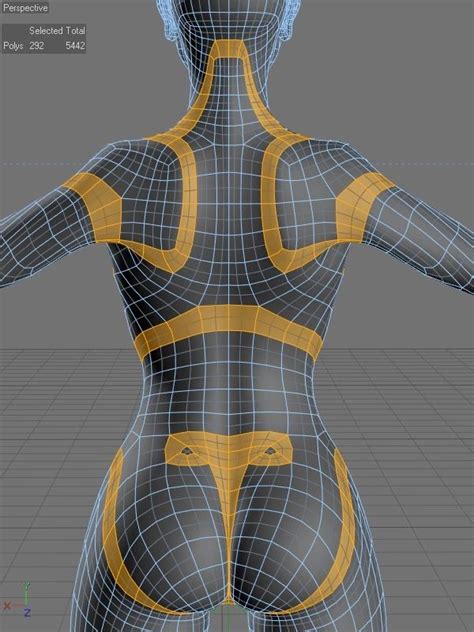 anatomy models 3d model character character modeling
