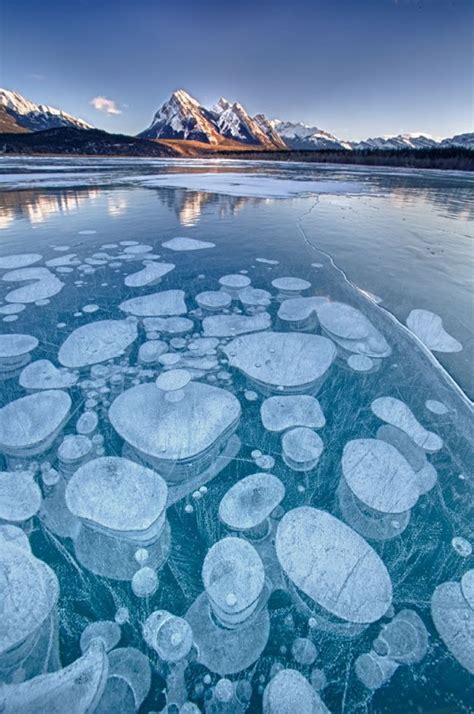 Frozen Air Bubbles In Abraham Lake Amusing Planet
