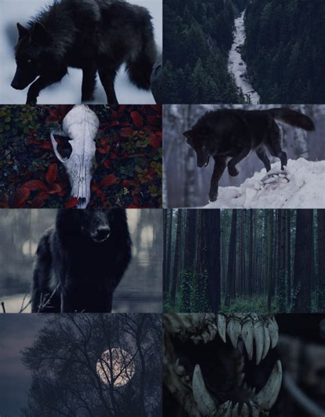 Aloofaesthetique “black Wolf Aesthetic For Anon ” Werewolf