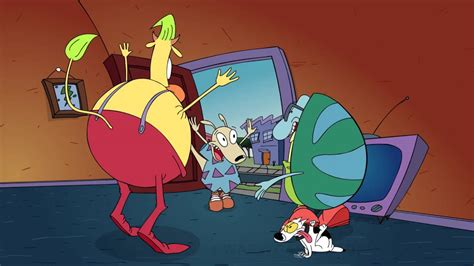 Rockos Modern Life Returning For One Hour Even More Modern Special